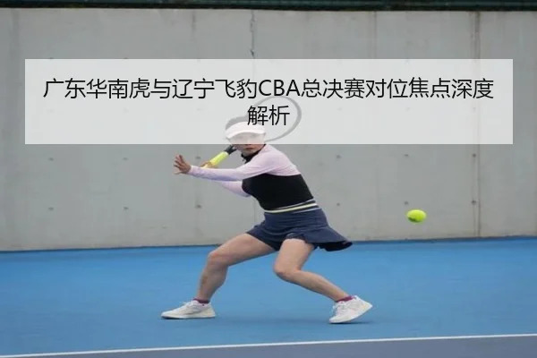 广东华南虎与辽宁飞豹CBA总决赛对位焦点深度解析